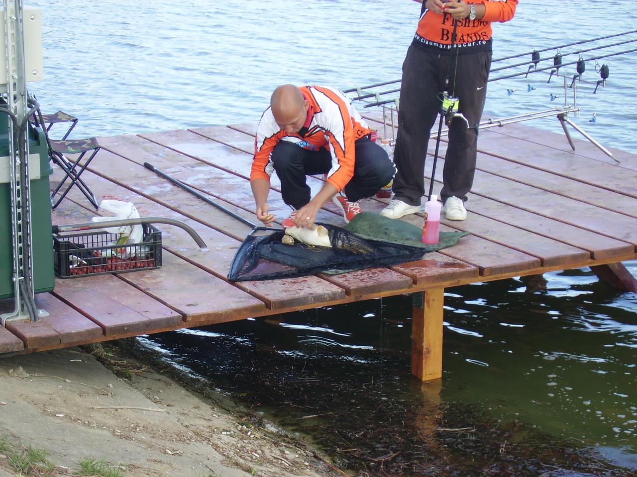 Diverse Partide - PICT0282.JPG